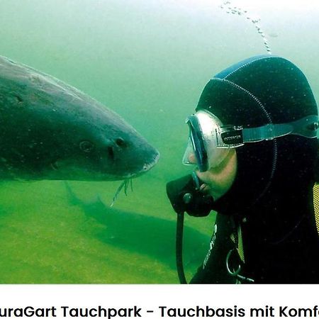 Westerkappeln Alte Seester Schule מראה חיצוני תמונה